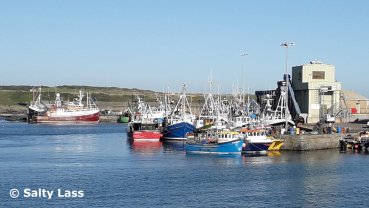 Ardglass Fishing Fleet